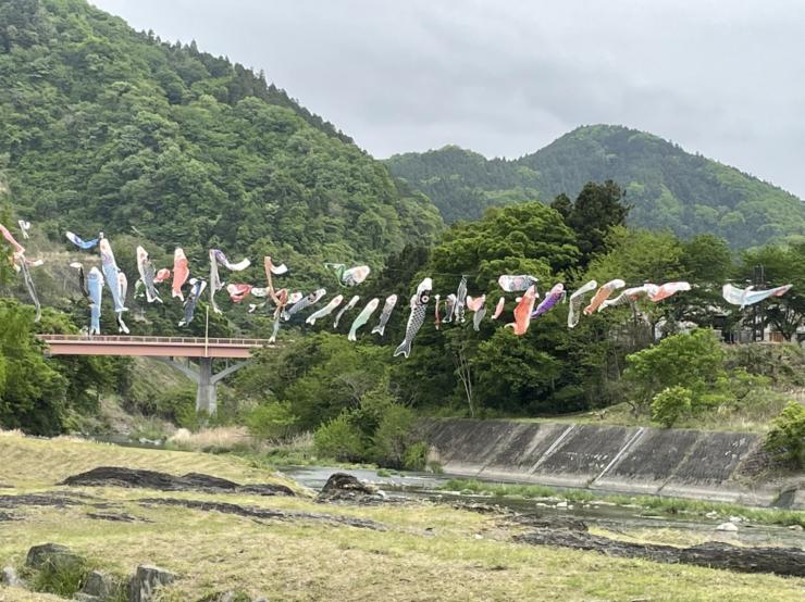 神流川水辺公園のこいのぼりと新緑の山々