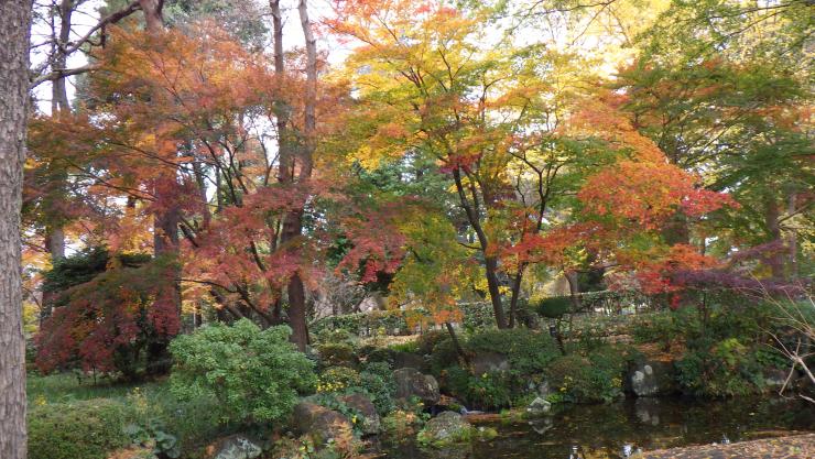 日本庭園