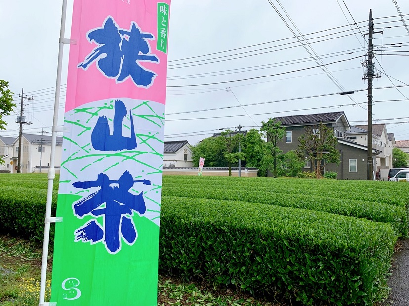 狭山茶の茶園の写真