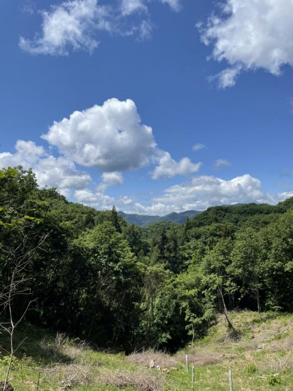 登山道からの眺め