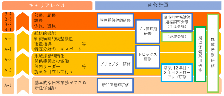 保健師研修体系