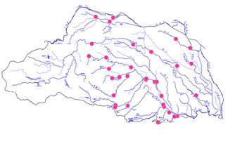 検出された地点を表した埼玉県地図