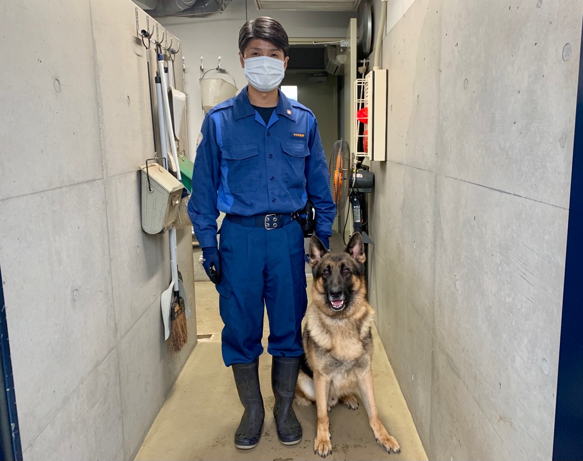 警察犬と警察官の写真