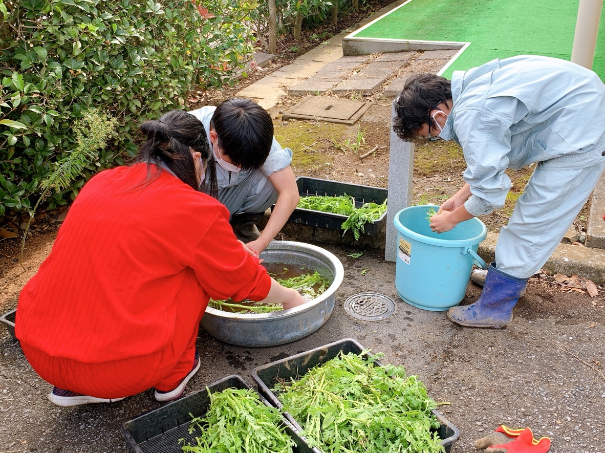 松伏分校の生徒と松伏分校の生徒が植物を洗っている写真