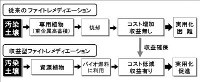 従来型と収益型のファイトメディエーションの図