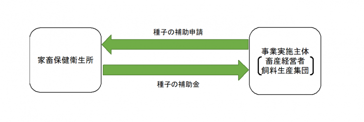 補助事業の流れ