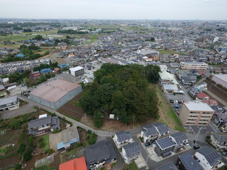 山王塚古墳の遠景（川越市提供）