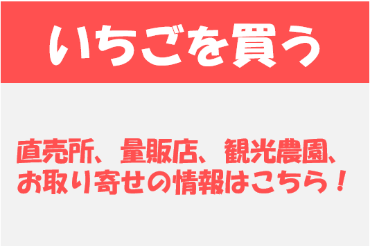 いちご買う2