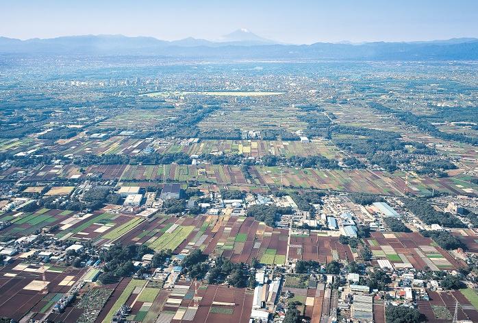 現在も残る武蔵野地域の地割り