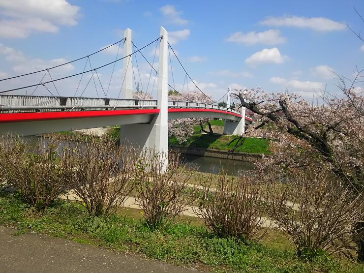 いろは親水公園1