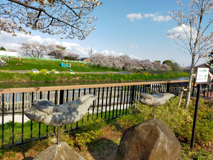 親水公園ユーユースイスイ君