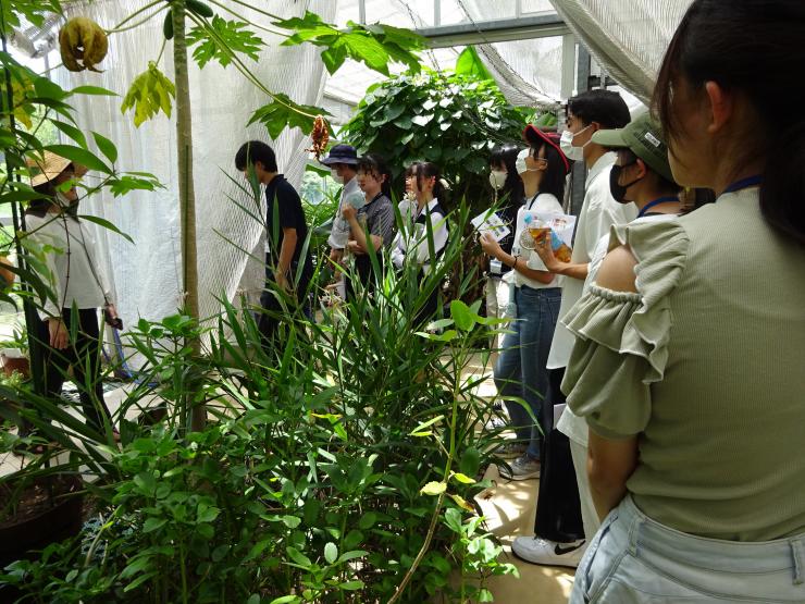 漢方資料館2