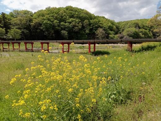 くらかけ清流の郷（東松山市）の写真