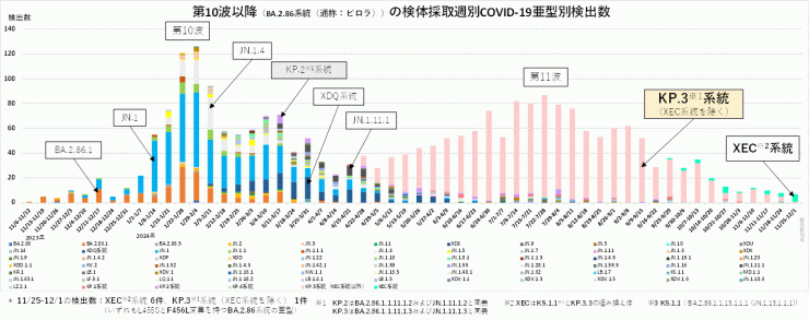 検亜型別検出数の推移（2024年12月11日現在）