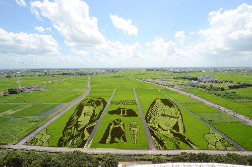 写真：田んぼアート