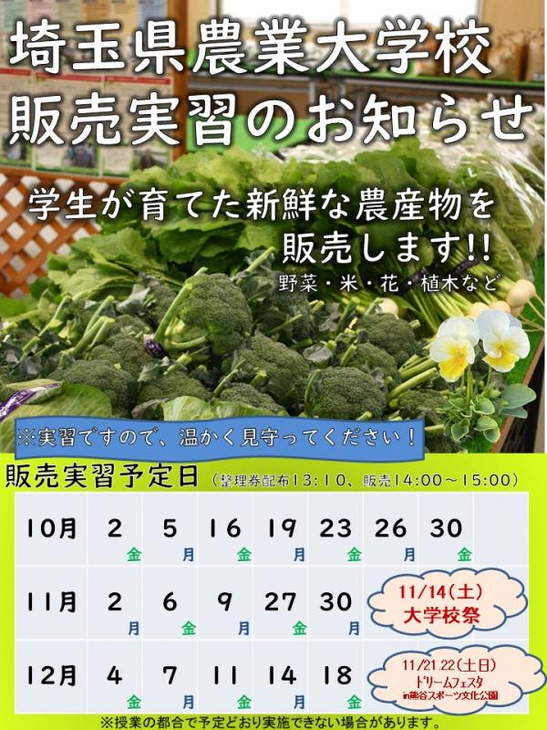 販売実習日程（令和8年10月～12月）