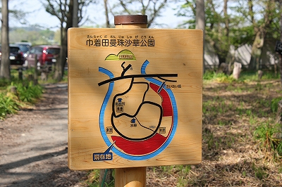 曼珠沙華公園