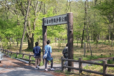 曼珠沙華公園の入口