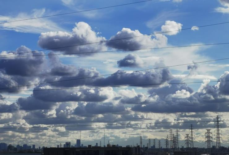 入賞モバイルA写真「夏の空を駆けて」