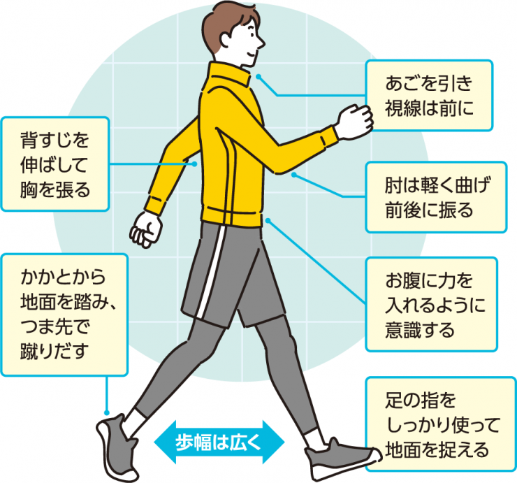 背すじを伸ばして胸を張る・あごを引き視線は前に・かかとから地面を踏み、つま先で蹴りだす・肘は軽く曲げ前後に振る・お腹に力を入れるように意識する・足の指をしっかり使って地面を捉える・歩幅は広く