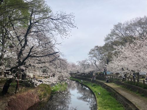 若泉公園