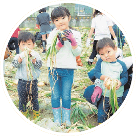 玉ねぎを収穫している子供たちの写真