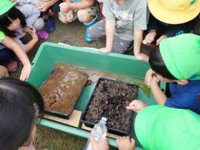 2種類の土に水をかけて比べる様子