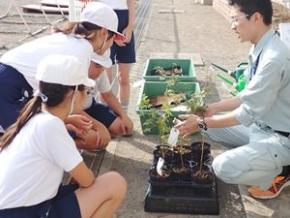 小学生が苗木を前に職員の説明を聞く様子