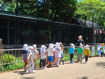 小動物園の見学