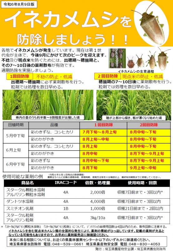 イネカメ8月