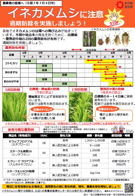 イネカメ防除啓発（R7.7月）