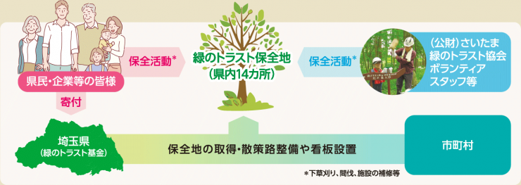 さいたま緑のトラスト運動の図：県民・企業等の皆さまやボランティアスタッフが保全活動をしたり、寄付をすることで緑のトラストは守られています。