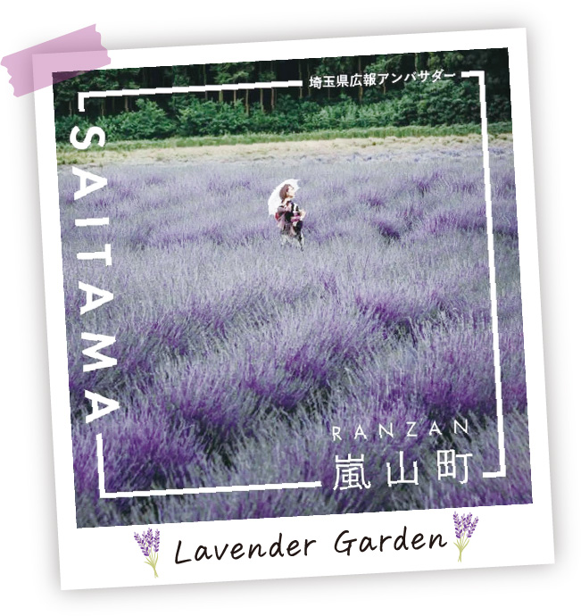 Lavender Garden 県広報アンバサダーnabecamさんとchihiroさんの投稿写真:一面のラベンダー畑の真ん中に立つ女性の写真に埼玉県広報アンバサダー SAITAMA 嵐山町（RANZAN）と表記がある