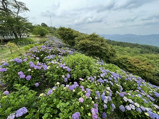 東展望台横