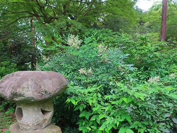 灯籠とナンテン