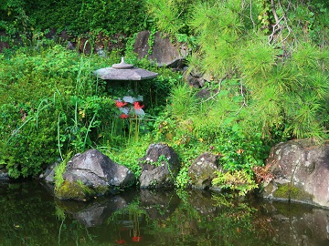 日本庭園の池