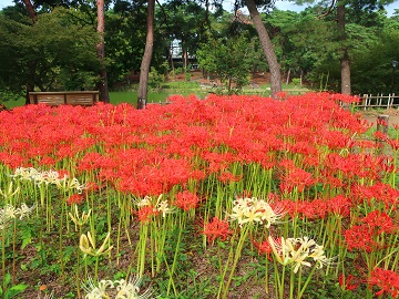 舟遊池を背景に