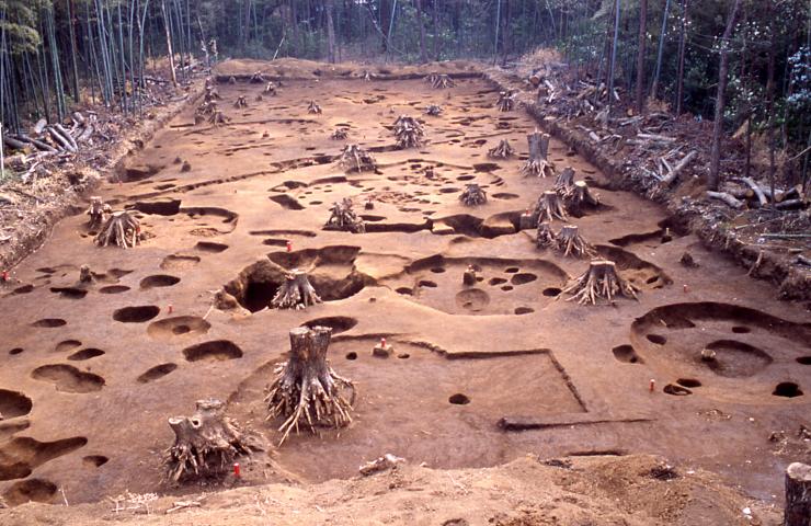 デーノタメ遺跡　第1次調査区全景（北本市提供）