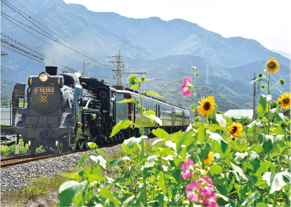 秩父鉄道 SLパレオエクスプレスの写真