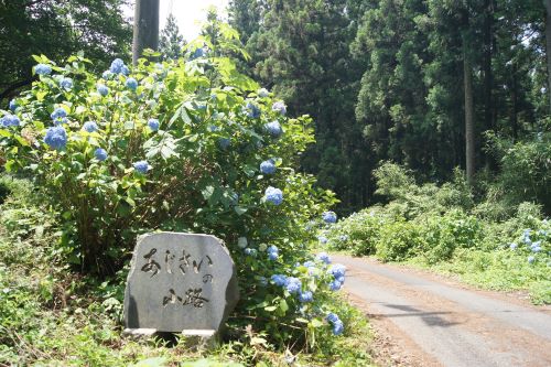 あじさいの小路碑