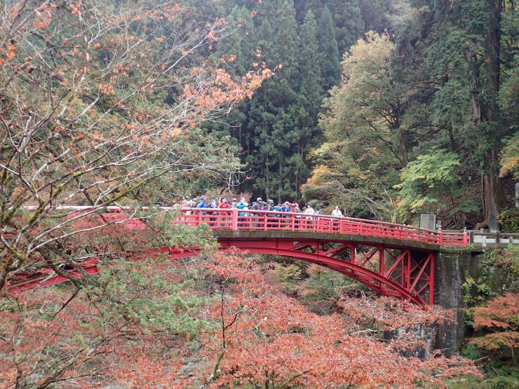 紅葉の時期に登山者が赤い橋を渡っている様子