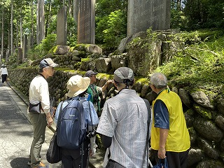 コケの説明を聞いている、ツアーの参加者。