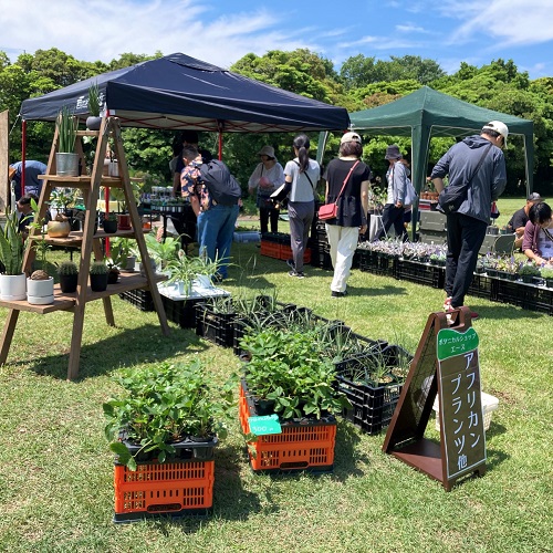 過去の植物販売会の写真