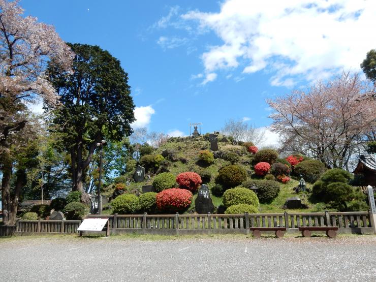 志木市の田子山富士塚の写真