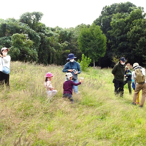 親子で原っぱの中で遊んでいる様子の写真