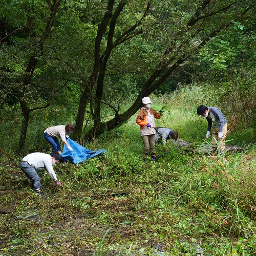 里山の管理作業をする様子の写真