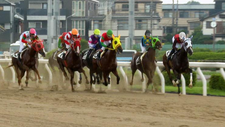 浦和競馬でのレースの写真