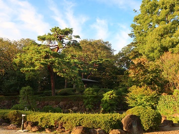 夕日に照らされた日本庭園