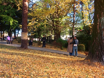 イチョウ下の記念撮影