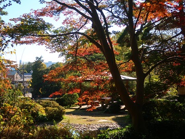 東屋付近